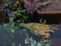 Наше место дом в аренду в г. Тюмень | Снять коттедж в г. Тюмень | Шалеком